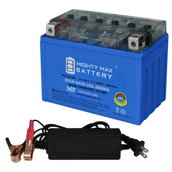 YTZ14S GEL Replacement Battery compatible with KTM RC8 Super Duke Honda BMW With 12V 2Amp Charger, Mighty Max Battery, Mfr#: MAX3885821